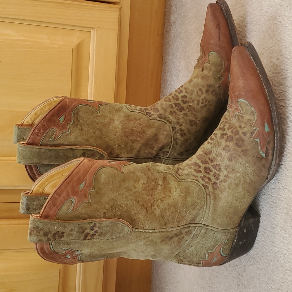 Old Gringo Leopardito